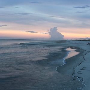 Meet your Posher, Brittani